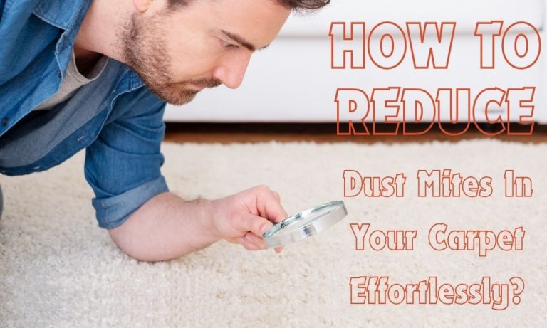 How To Reduce Dust Mites In Your Carpet Effortlessly